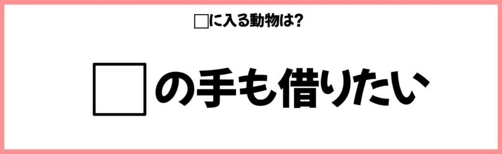 動物を使ったことわざクイズの画像