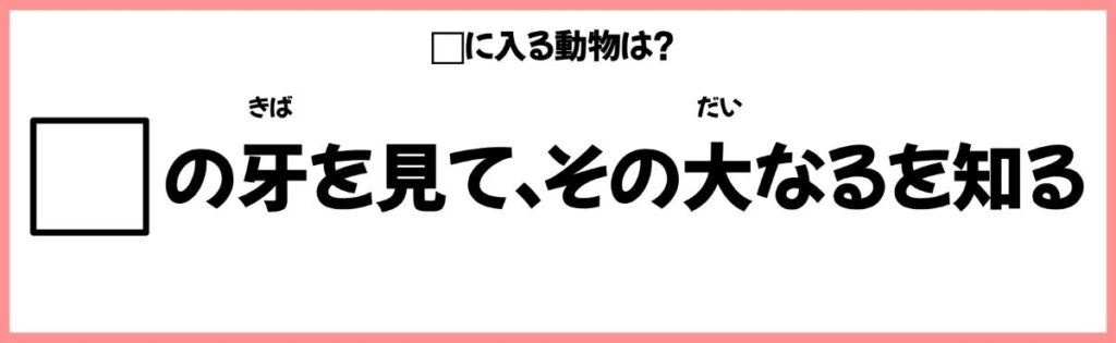 動物を使ったことわざクイズの画像