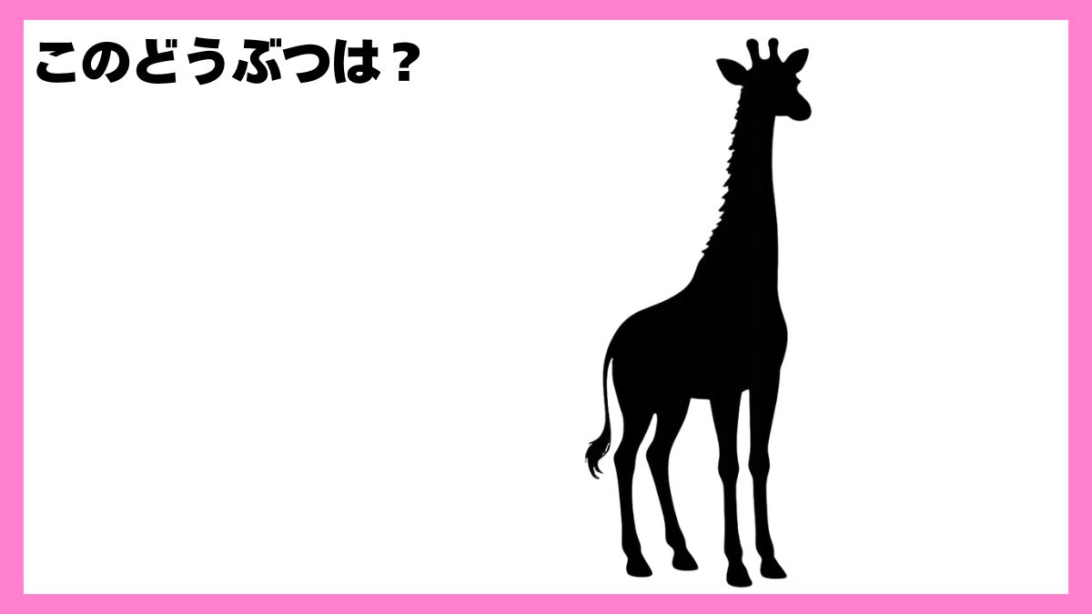 動物シルエットクイズ