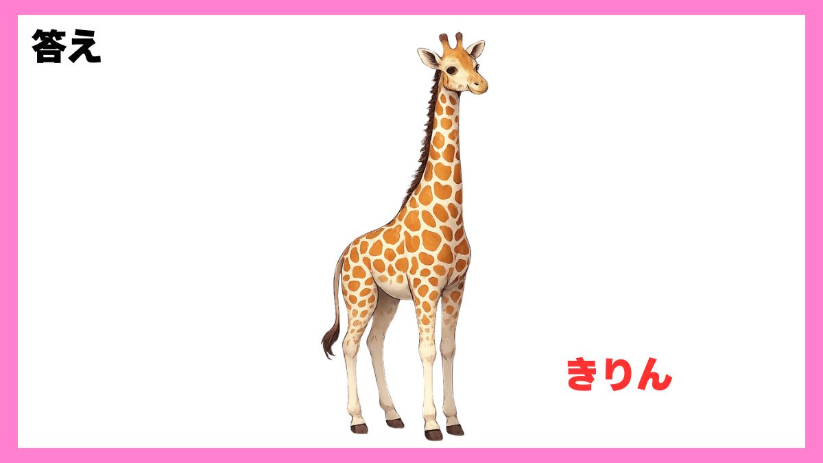 動物シルエットクイズ