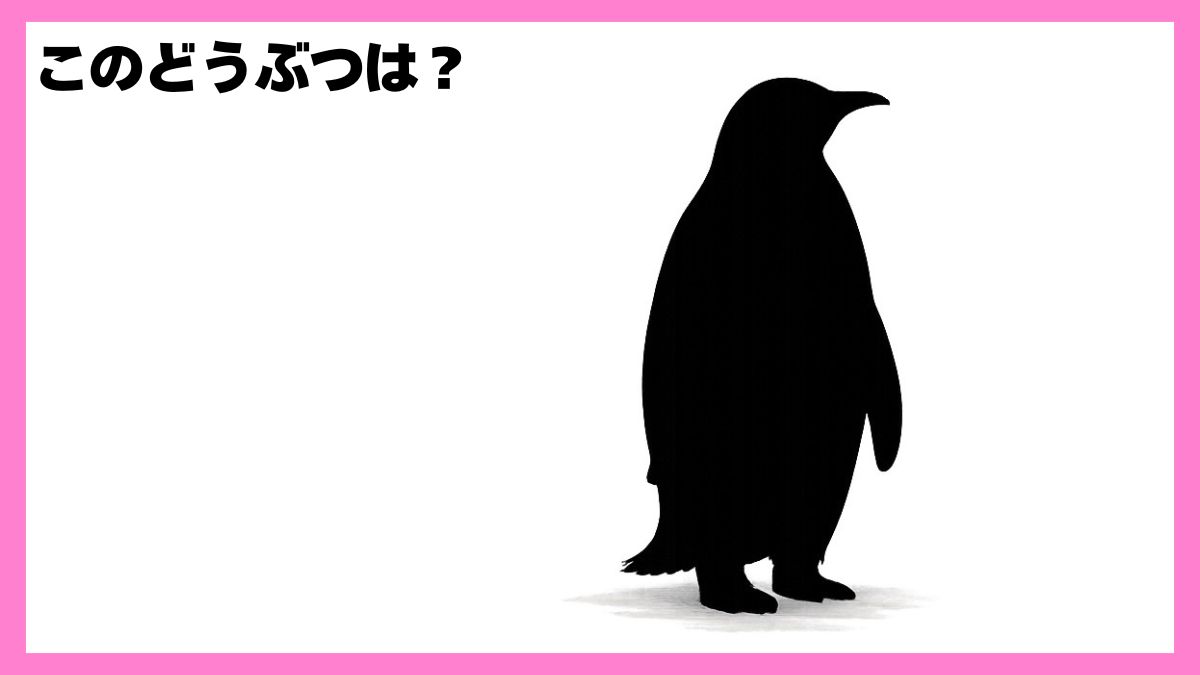 動物シルエットクイズ