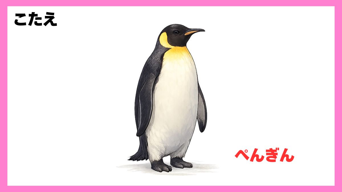 動物シルエットクイズ