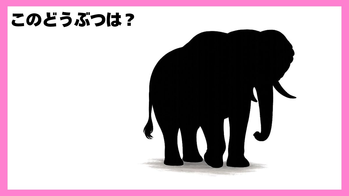 動物シルエットクイズ