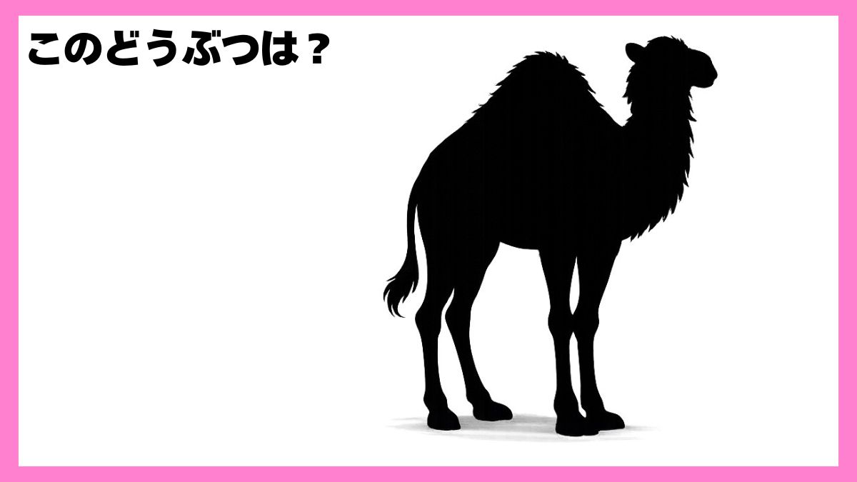 動物シルエットクイズ