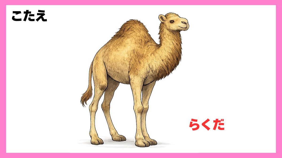 動物シルエットクイズ