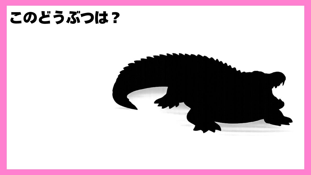 動物シルエットクイズ