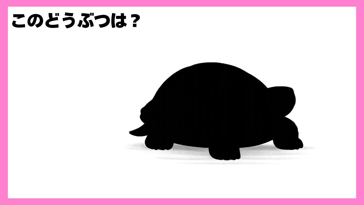 動物シルエットクイズ