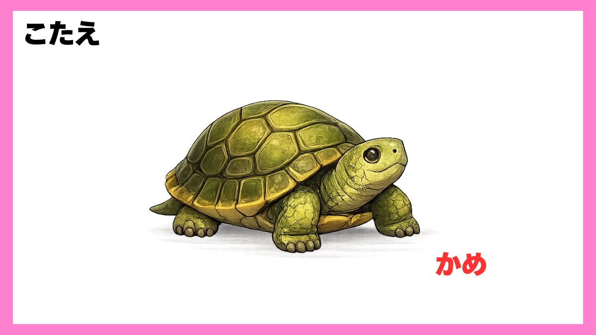 動物シルエットクイズ