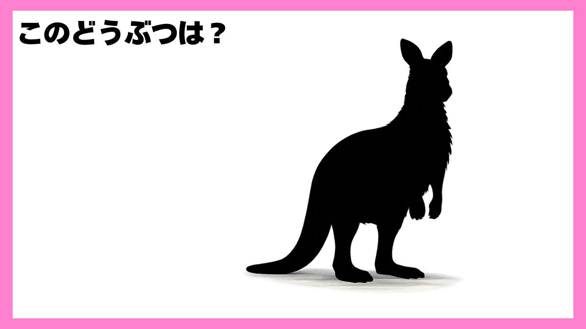 動物シルエットクイズ