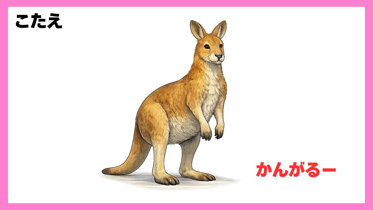 動物シルエットクイズ