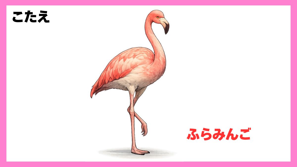 動物シルエットクイズ