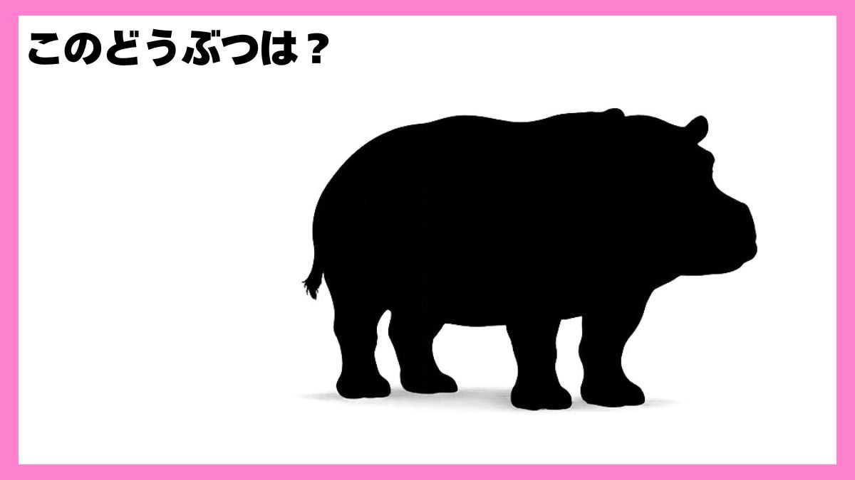 動物シルエットクイズ