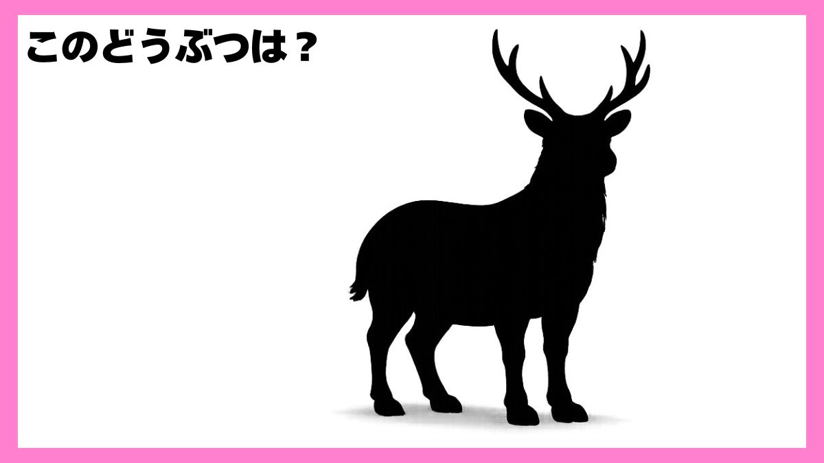 動物シルエットクイズ