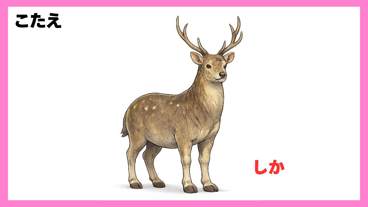 動物シルエットクイズ