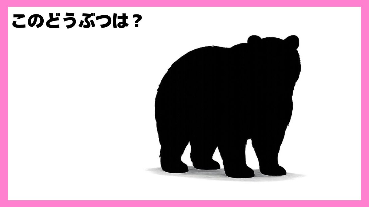 動物シルエットクイズ