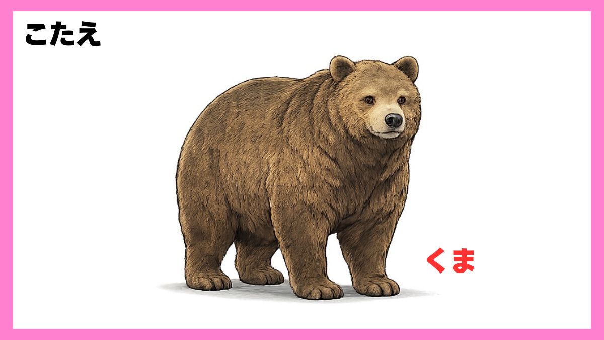 動物シルエットクイズ