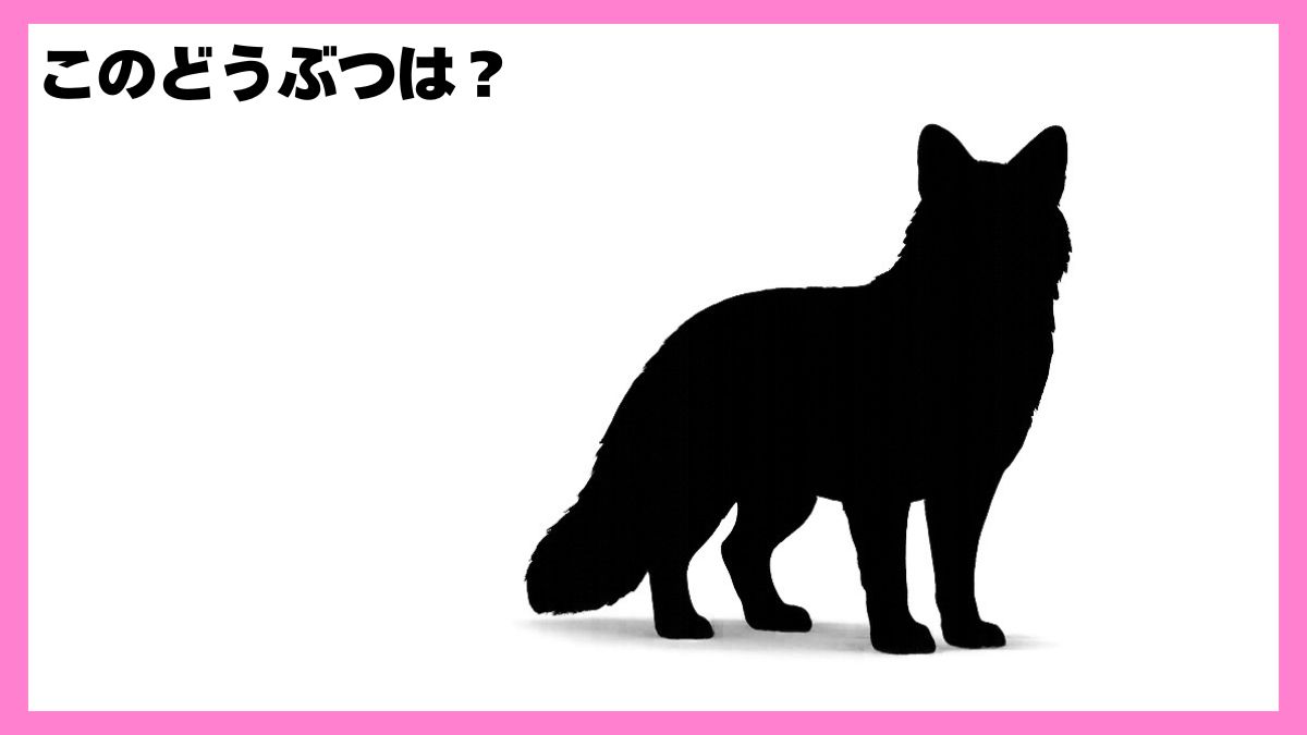 動物シルエットクイズ