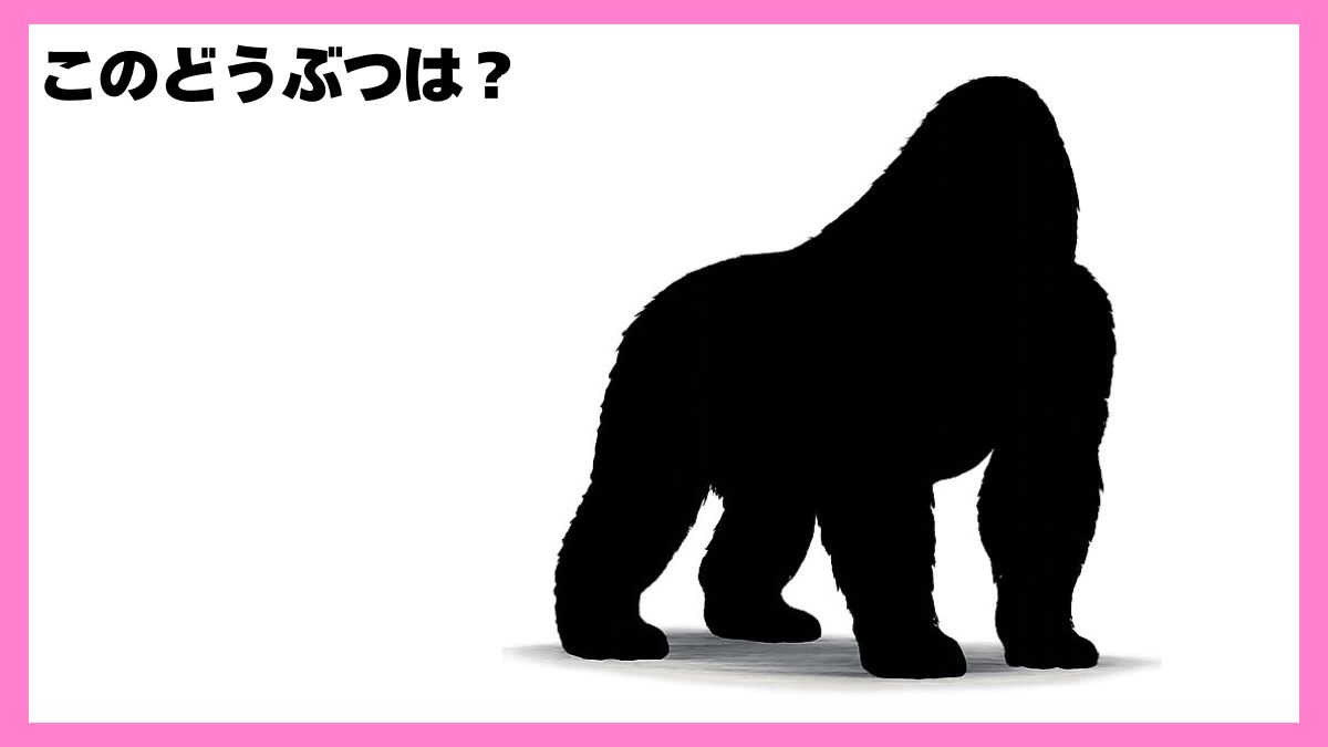 動物シルエットクイズ
