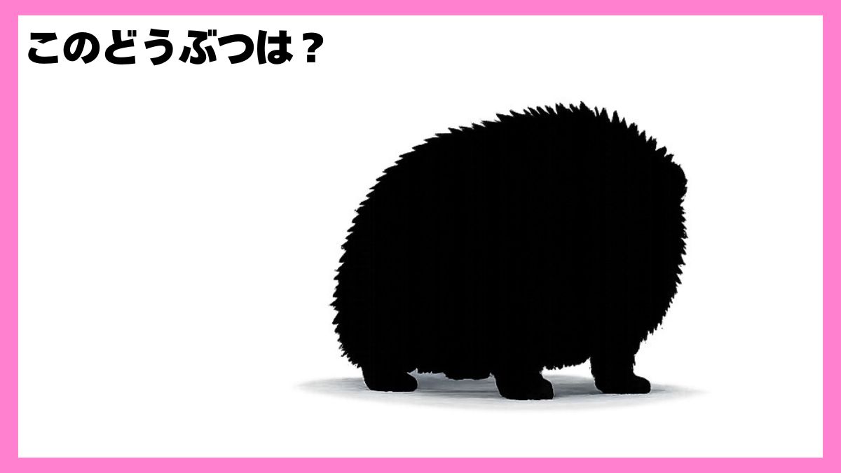 動物シルエットクイズ