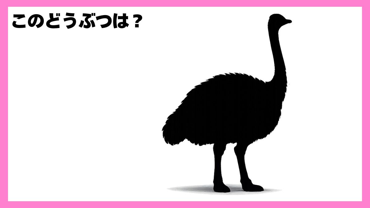 動物シルエットクイズ
