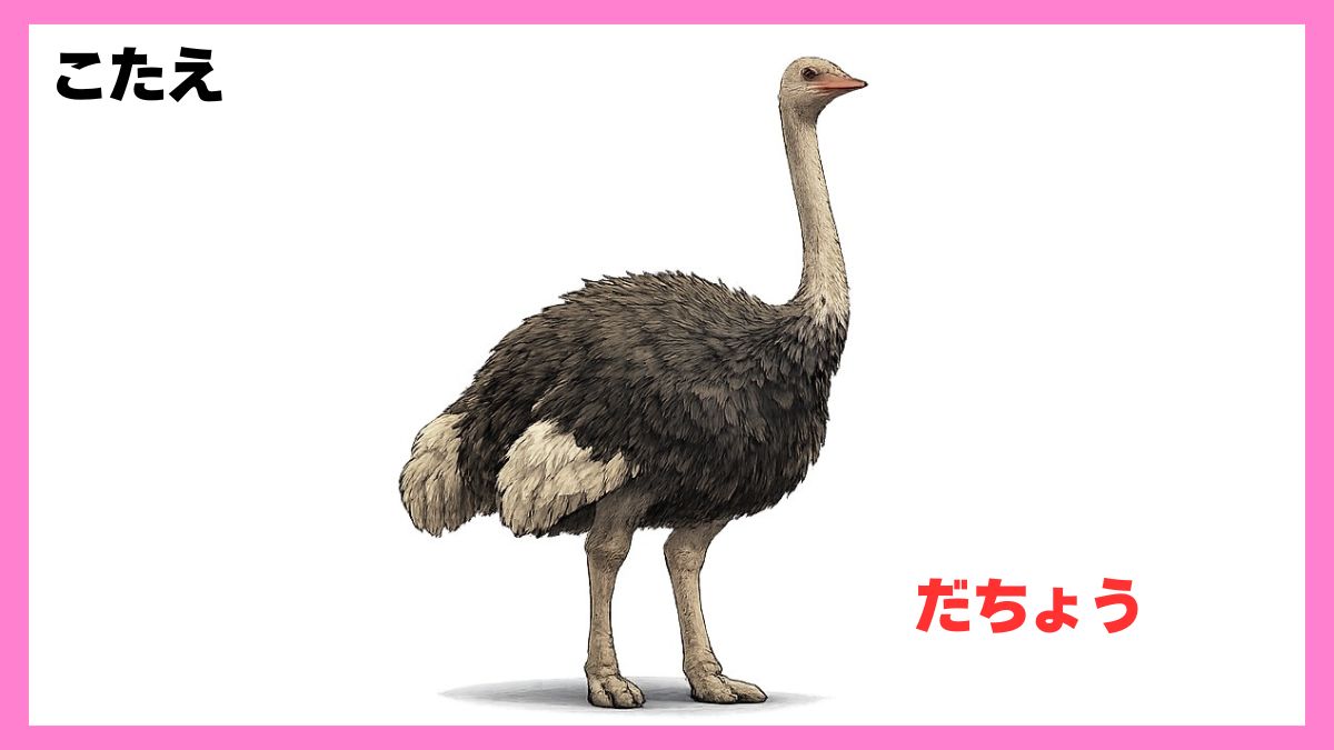 動物シルエットクイズ