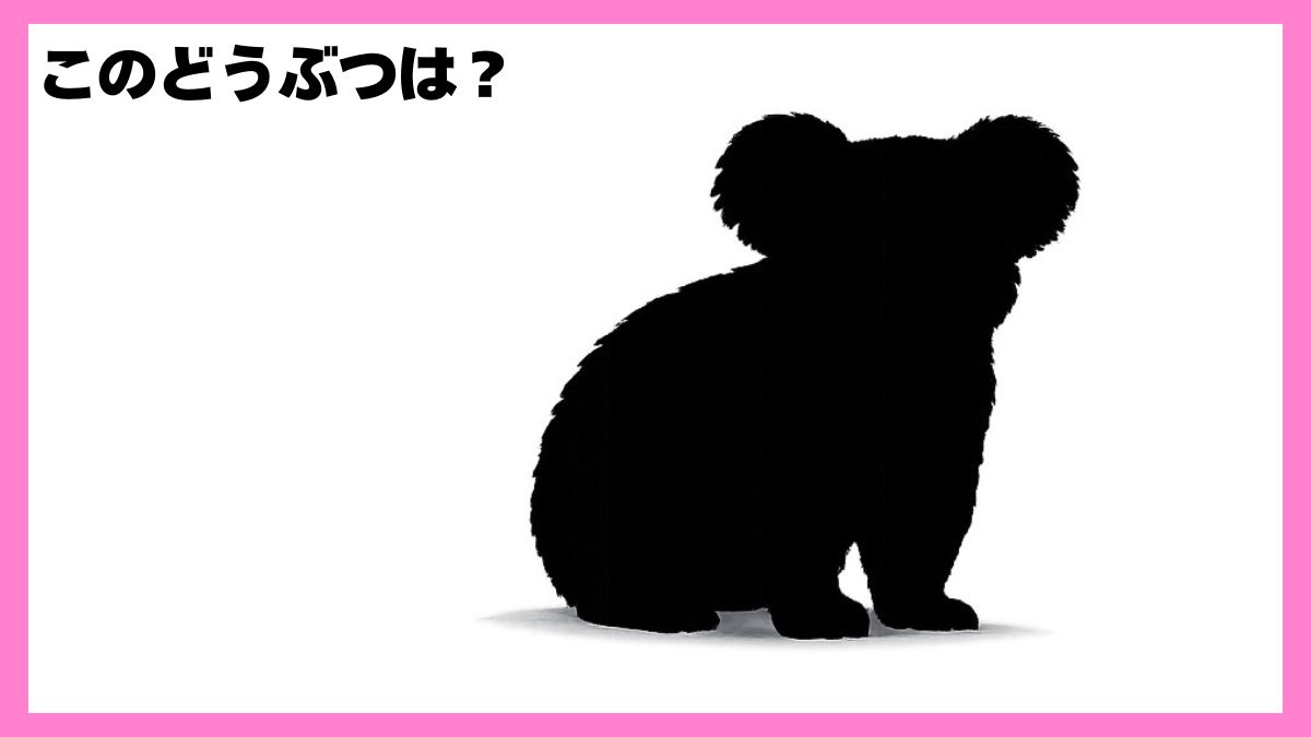 動物シルエットクイズ